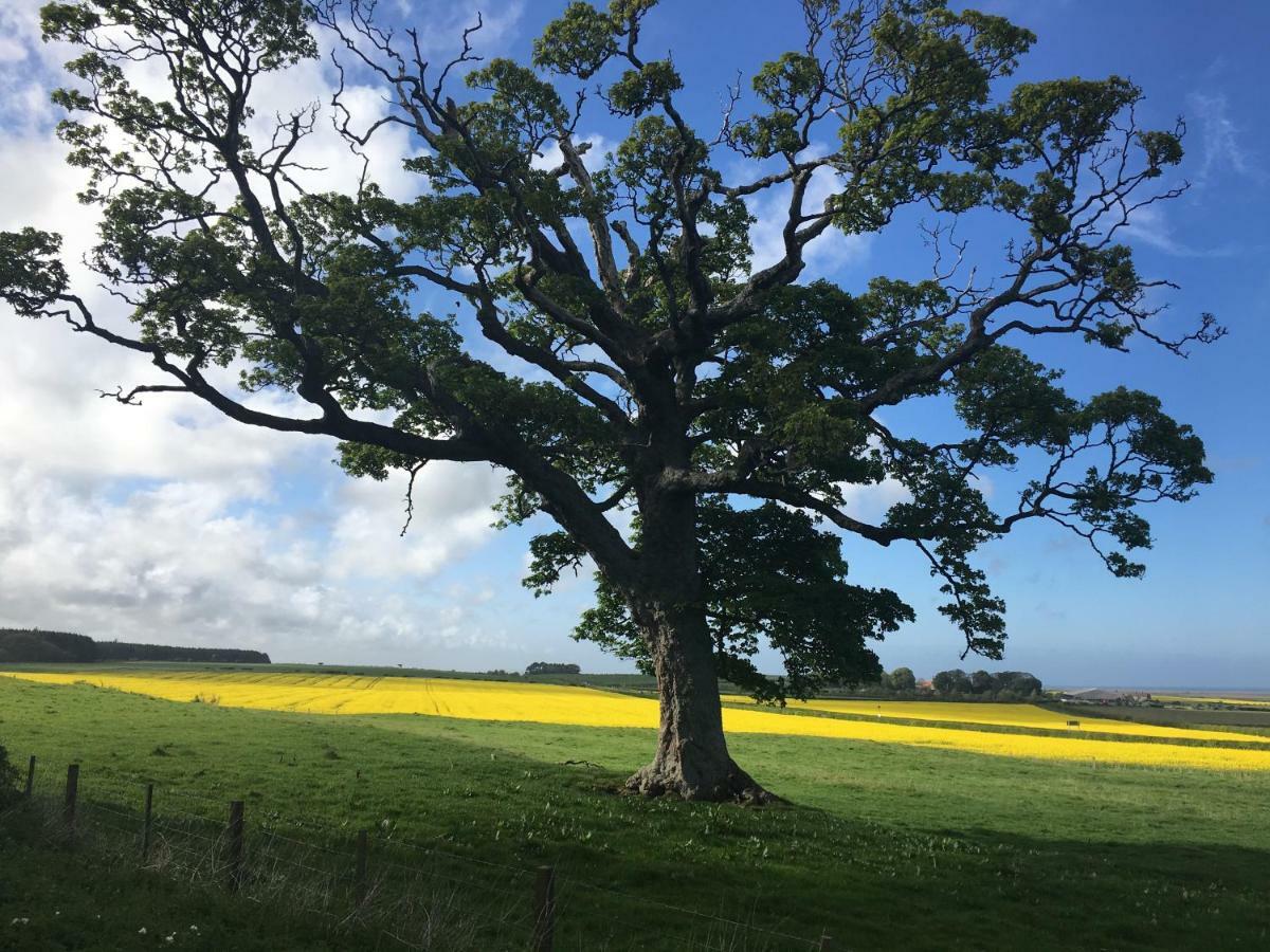 Buckton Farmhouse Belford Ngoại thất bức ảnh