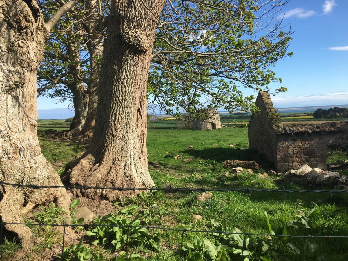 Buckton Farmhouse Belford Ngoại thất bức ảnh
